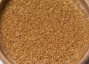 Бисер Япония MIYUKI Seed Beads 15/0 5г 1054 оцинкованное золото